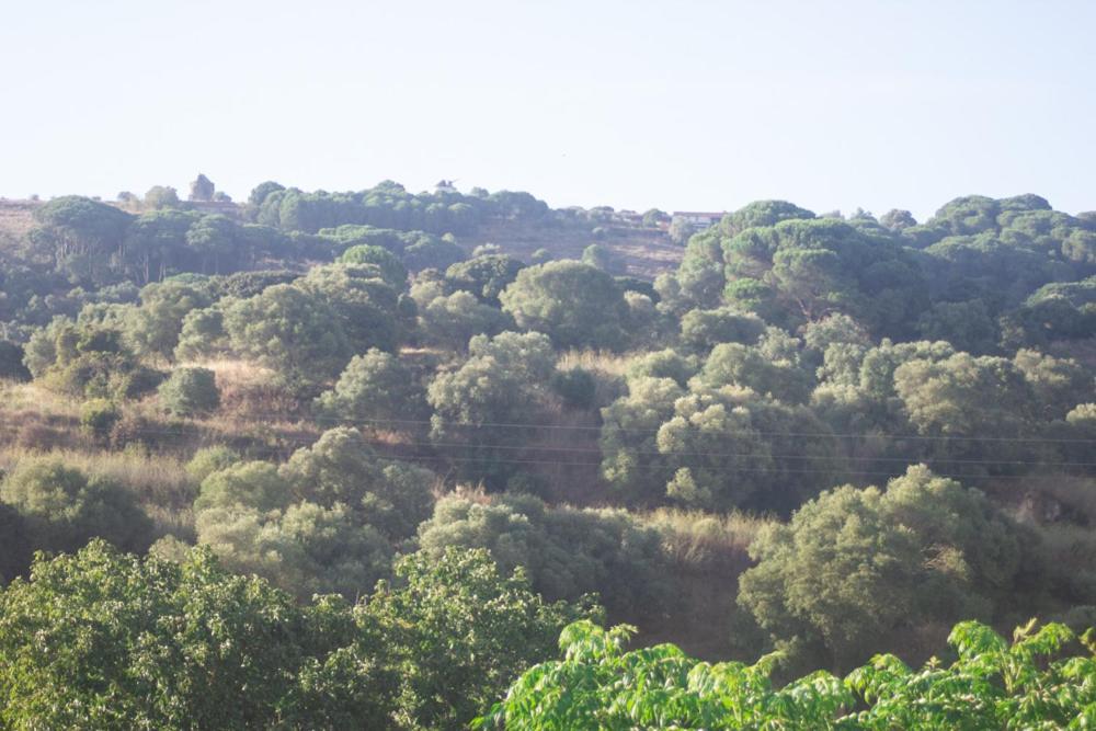 فيلا كينتا دو أنجوفي Refugio Do Ze Tobias المظهر الخارجي الصورة